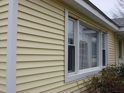 windows / siding